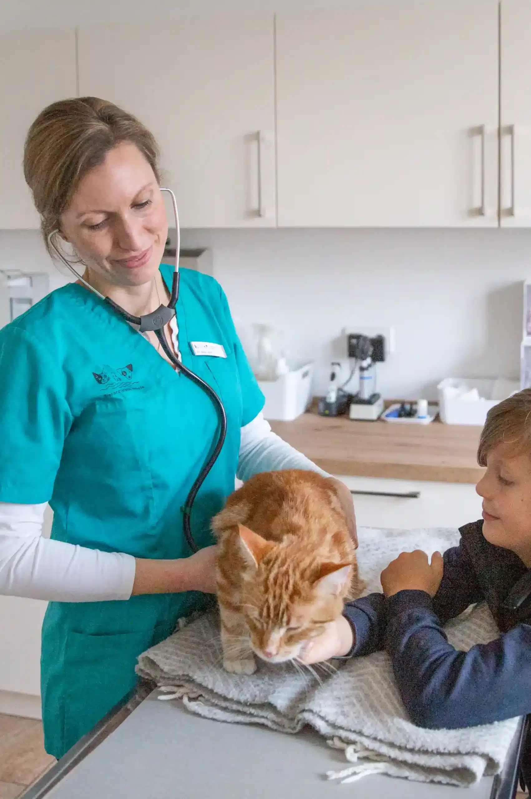 Tierarztpraxis Schwerte Katztentierarzt